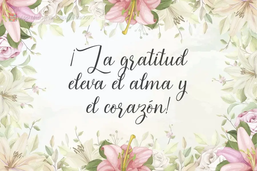 A gratidão eleva a alma e o coração!