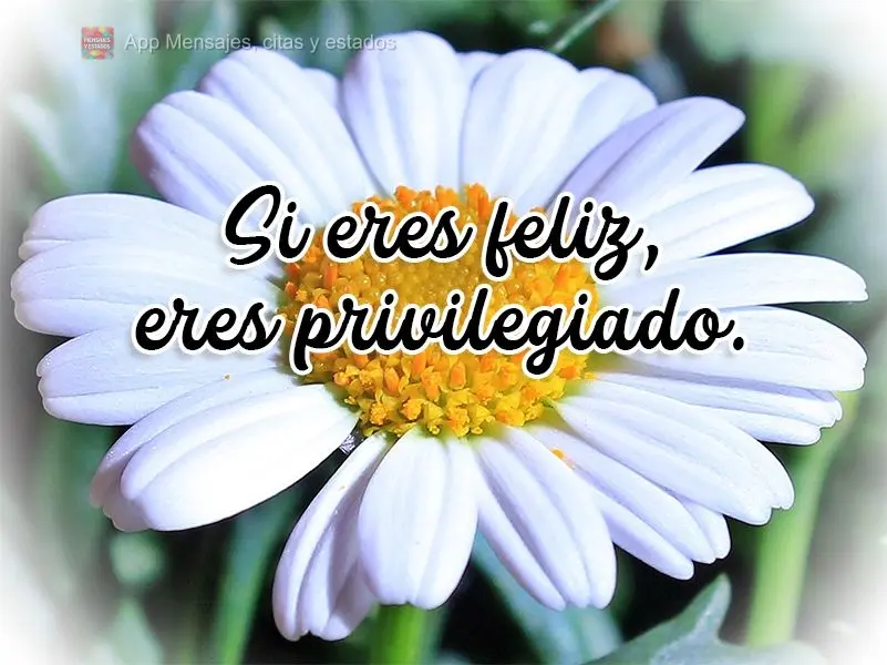 Si eres feliz, eres privilegiado.
