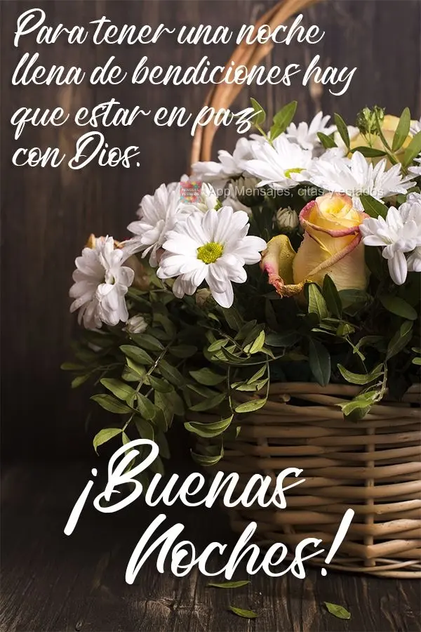 Para uma noite cheia de bênçãos é preciso estar em paz com Deus!  Boa noite!