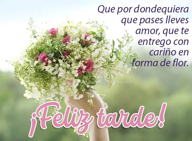 Por onde você passe, que você leve o amor que lhe entrego com carinho em forma de flor!  Boa Tarde!