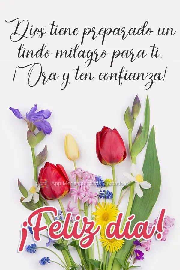 Deus tem preparado um lindo milagre em sua vida, ore e confie! Bom dia! 