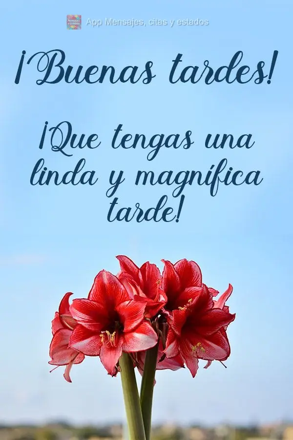 Tenha uma linda e gloriosa tarde! Boa tarde!