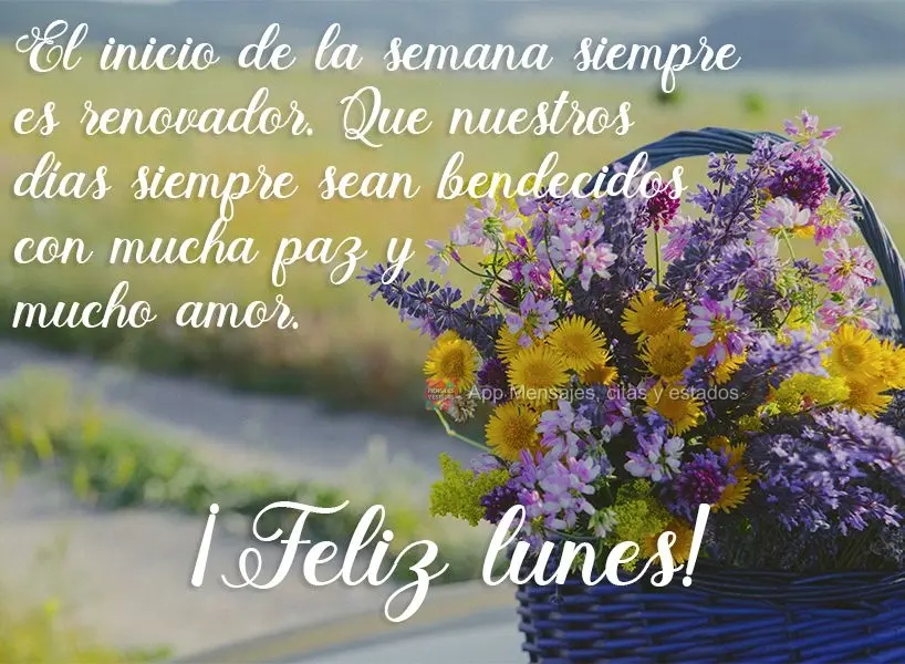 El inicio de la semana siempre es renovador. Que nuestros días siempre sean bendecidos con mucha paz y mucho amor. ¡Feliz lunes!