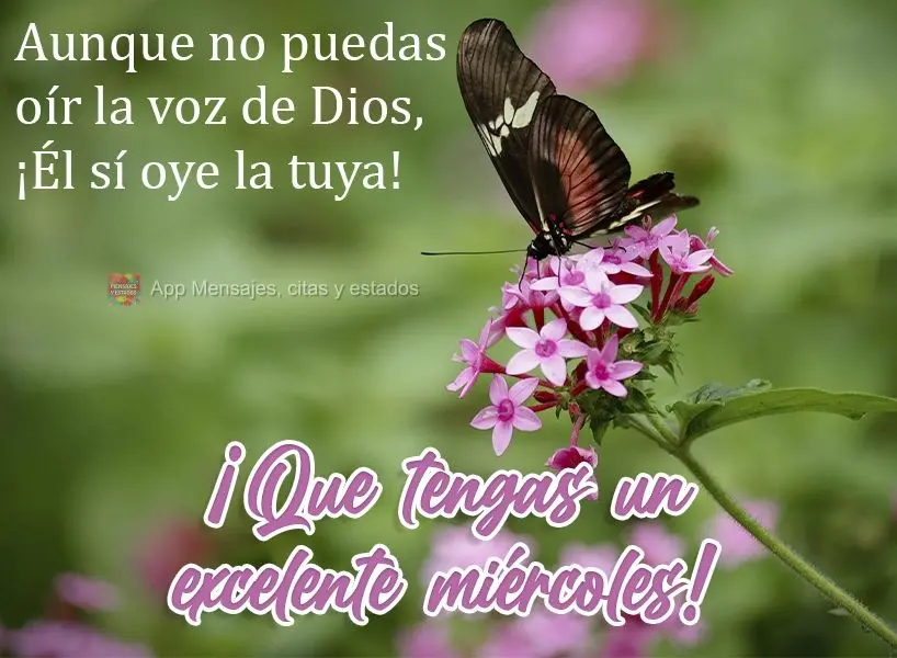 Aunque no puedas oír la voz de Dios, ¡Él sí oye la tuya! ¡Que tengas un excelente miércoles!
