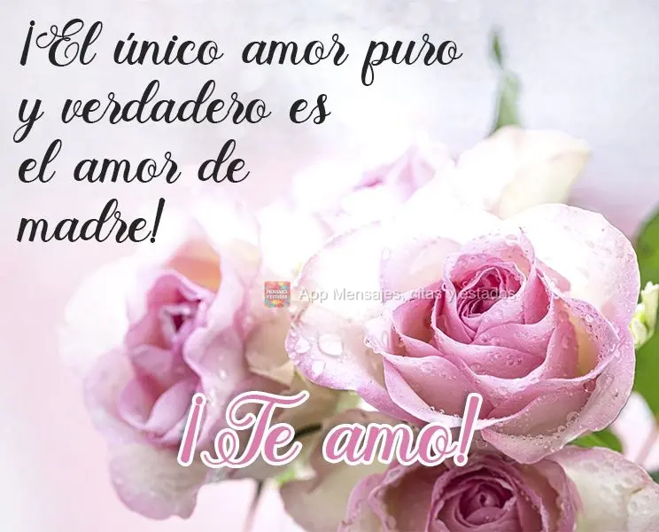 ¡El único amor puro y verdadero es el amor de madre! ¡Te amo!