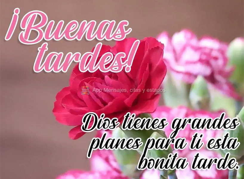 Dios tienes grandes planes para ti esta bonita tarde. ¡Buenas tardes!