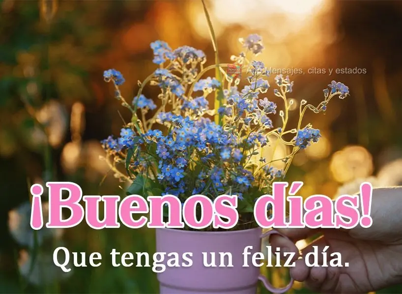 Que você tenha um feliz dia! Bom dia!