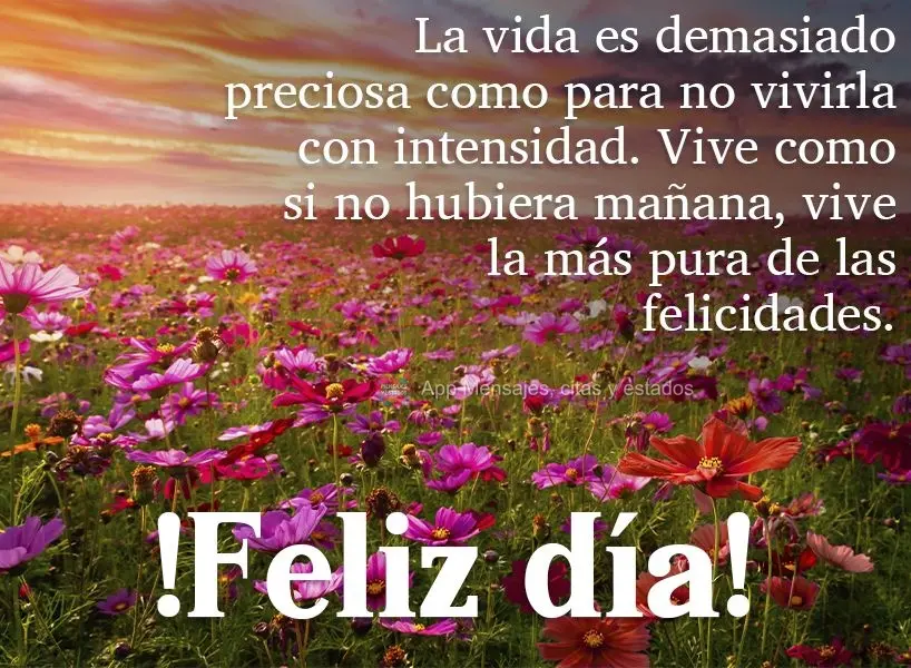 La vida es demasiado preciosa como para no vivirla con intensidad. Vive como si no hubiera mañana, vive la más pura de las felicidades. ¡Feliz día!...