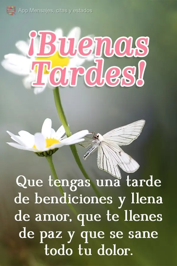 Que tengas una tarde de bendiciones y llena de amor, que te llenes de paz y que se sane todo tu dolor. ¡Buenas tardes!