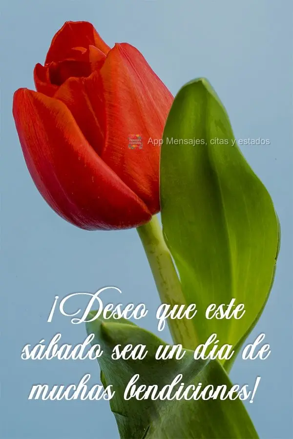 ¡Deseo que este sábado sea un día de muchas bendiciones!