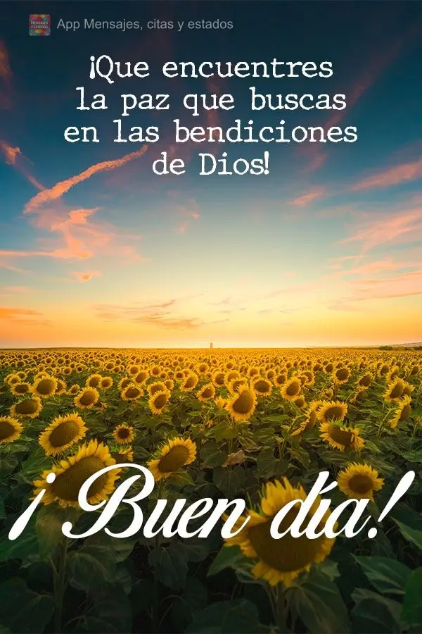 Que você encontre a paz que procura nas bênçãos de Deus!  Bom dia