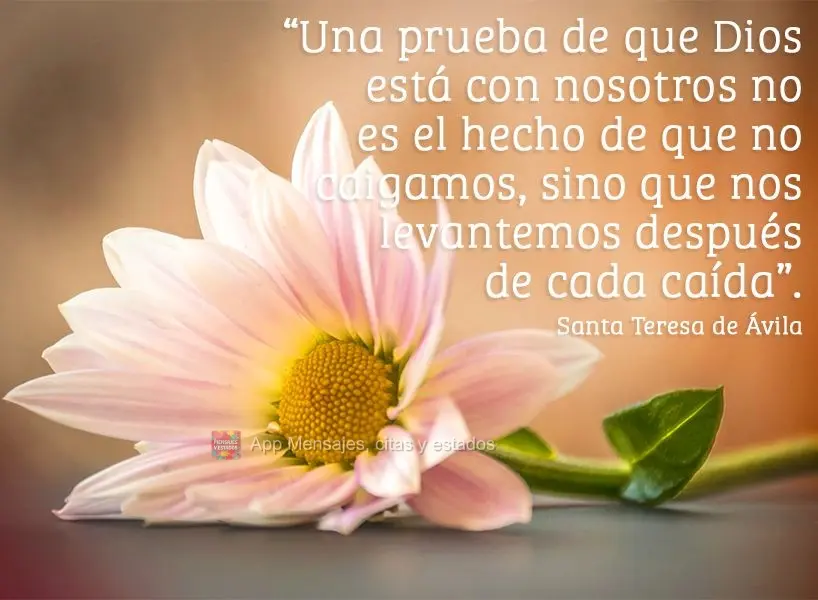 "Uma prova de que Deus esteja conosco não é o fato de que não venhamos a cair, mas que nos levantemos depois de cada queda." Santa Teresa de Ávila