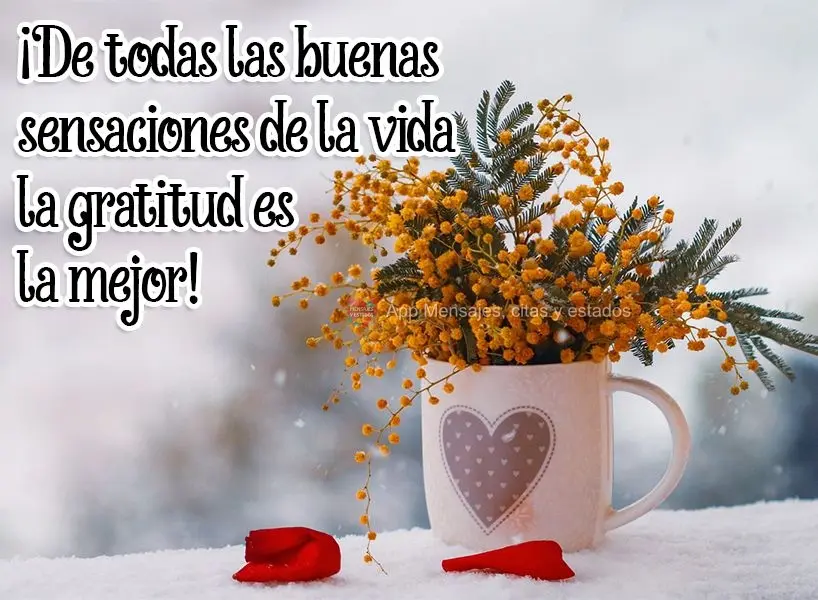¡De todas las buenas sensaciones de la vida la gratitud es la mejor!