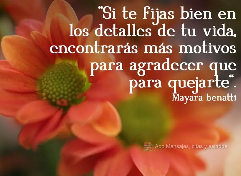 "Si te fijas bien en los detalles de tu vida, encontrarás más motivos para agradecer que para quejarte". Mayara Benatti