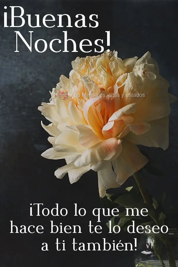 Tudo que me faz bem, desejo a você também!  Boa noite!