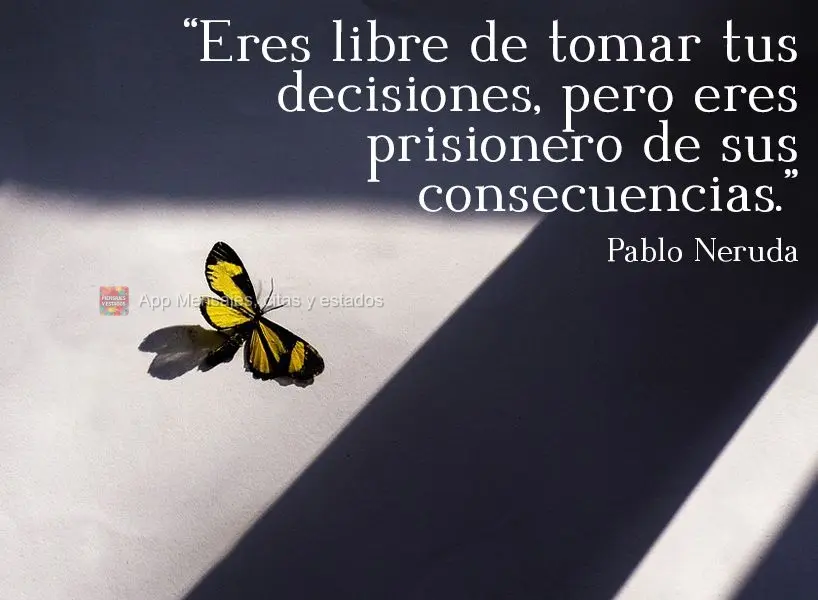 "Eres libre de tomar tus decisiones, pero eres prisionero de sus consecuencias." Pablo Neruda