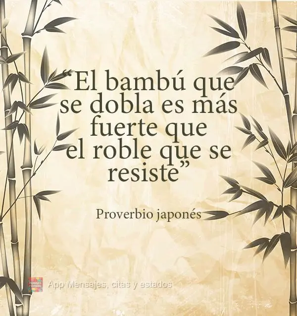 “El bambú que se dobla es más fuerte que el roble que se resiste” Proverbio japonés