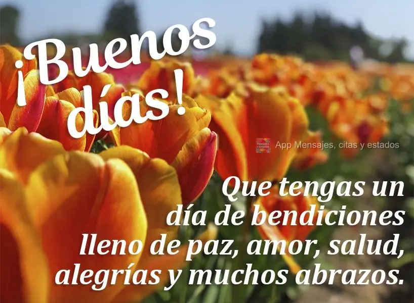 Que você seja abençoado com um dia cheio de paz, amor, saúde, alegrias e muitos abraços! Bom dia! 