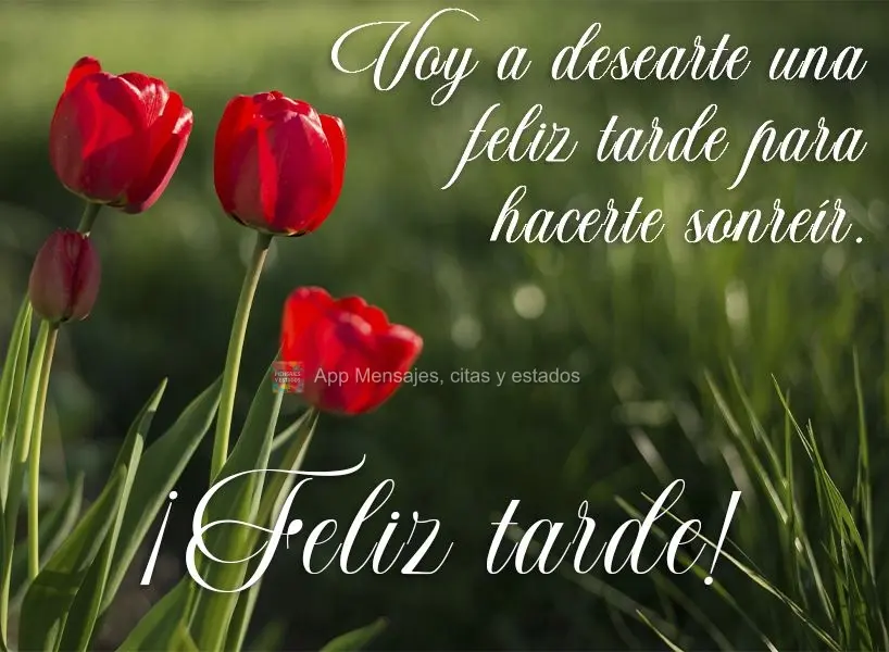 Voy a desearte una feliz tarde para hacerte sonreír. ¡Feliz tarde!