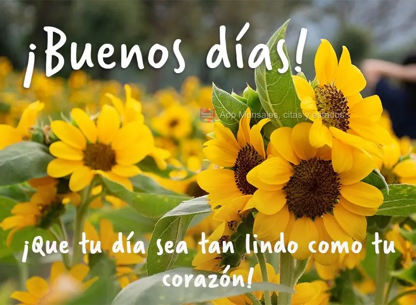 Que seu dia seja tão lindo quanto seu coração! Bom dia! 