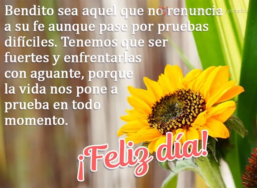 Abençoado seja aquele que permanece na fé, mesmo que as provações sejam difíceis. Temos que ser fortes e enfrentar com perseverança, porque a vida ...