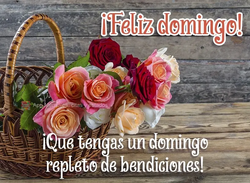 ¡Que tengas un domingo repleto de bendiciones! ¡Feliz domingo!