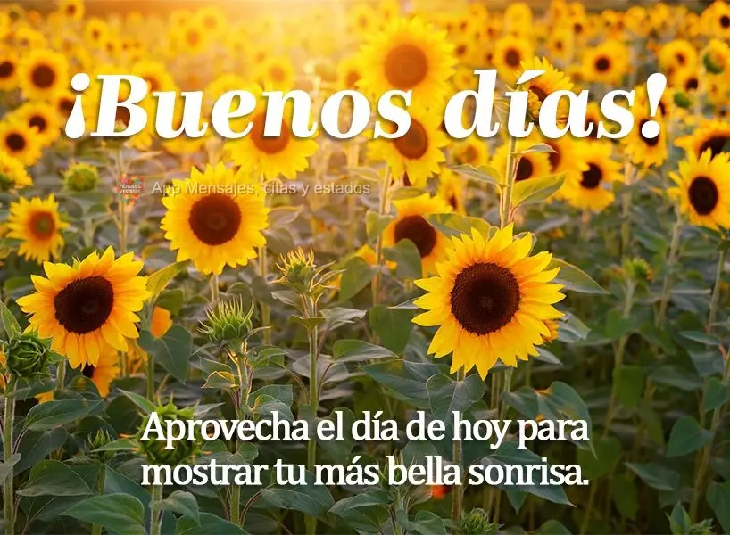 Aproveite o dia de hoje para mostrar o seu mais belo sorriso! Bom dia! 