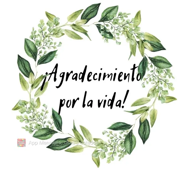 ¡Agradecimiento por la vida!