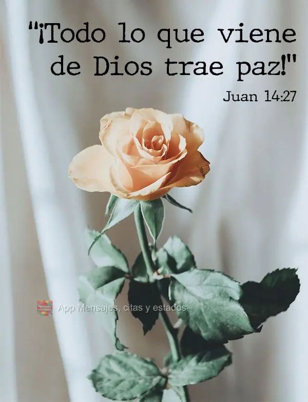 ¡Todo lo que viene de Dios trae paz! Juan 14:27