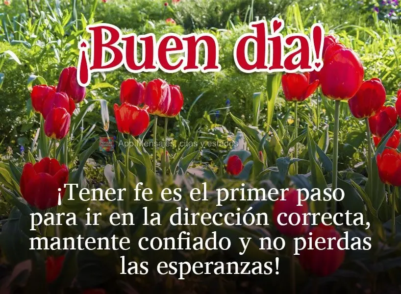 ¡Tener fe es el primer paso para ir en la dirección correcta, mantente confiado y no pierdas las esperanzas! ¡Buen día!