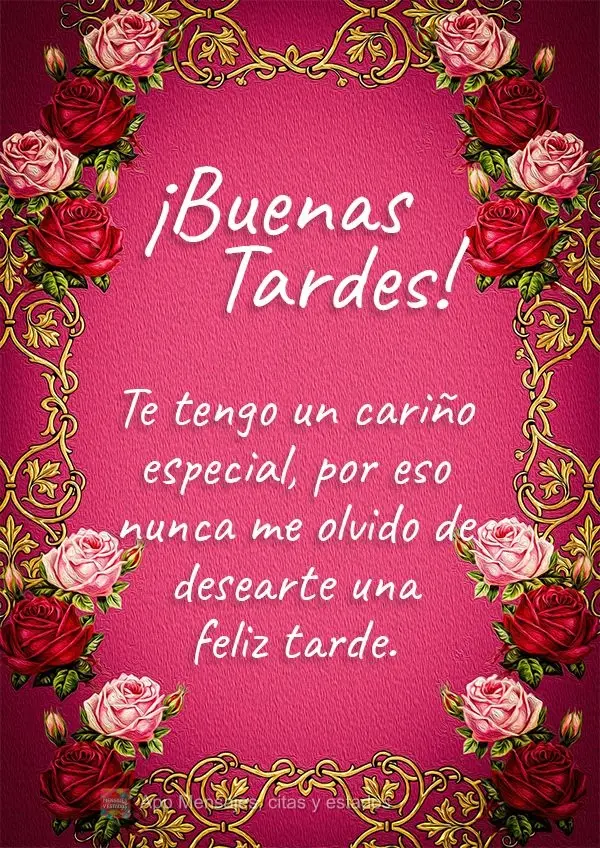 Eu tenho por você um carinho especial, por isso nunca esqueço de desejar que você tenha uma tarde feliz! Boa tarde! 