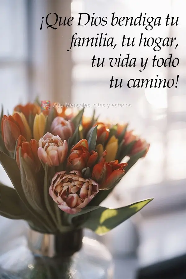 ¡Que Dios bendiga tu familia, tu hogar, tu vida y todo tu camino!