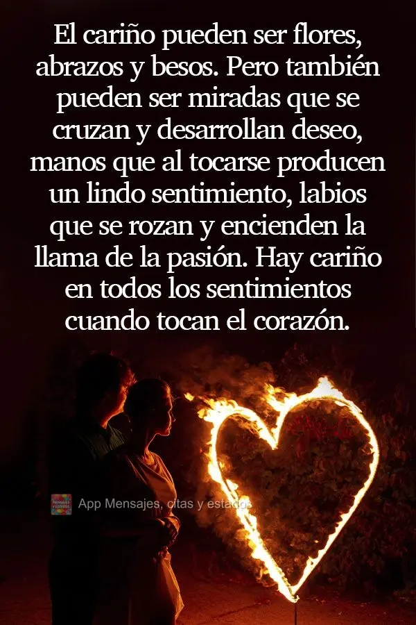 El cariño pueden ser flores, abrazos y besos. Pero también pueden ser miradas que se cruzan y desarrollan deseo, manos que al tocarse producen un lindo...