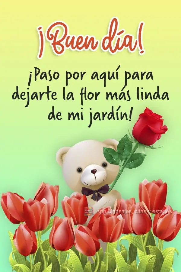 Passei aqui pra te deixar a flor mais linda do meu jardim! Bom dia! 