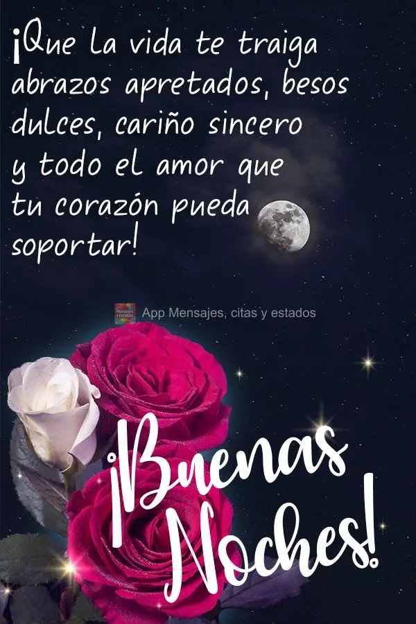 Que a vida lhe traga os abraços mais apertados, os beijos mais doces, os carinhos mais sinceros e todo amor que seu coração puder suportar! Boa noite!...