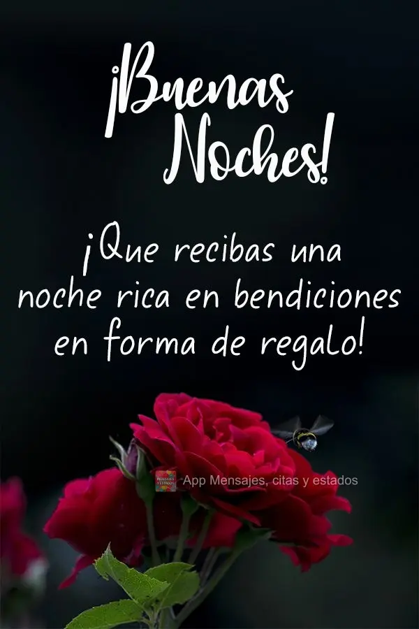 Que você seja contemplado com uma noite rica em bênçãos! Boa noite! 