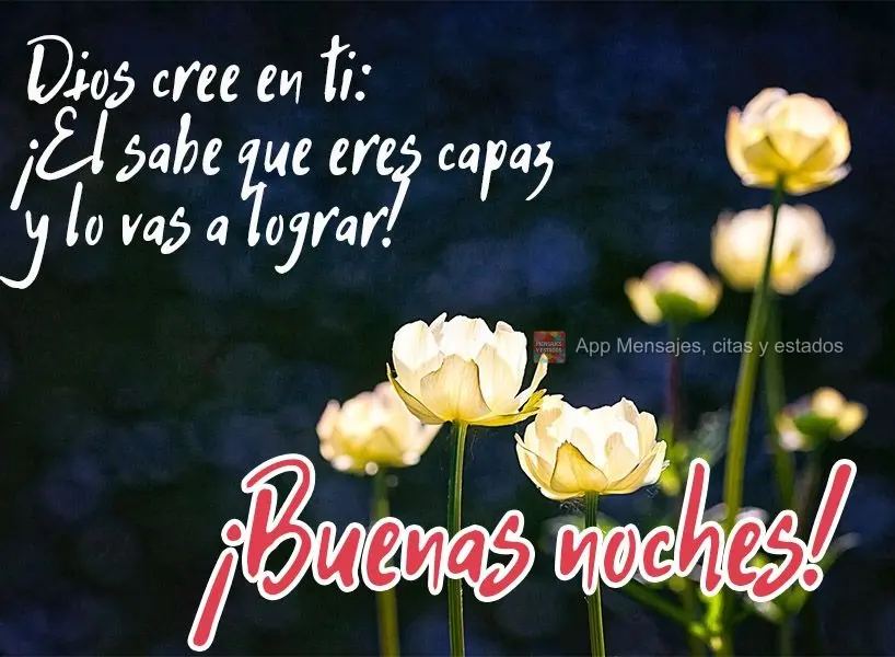 Deus acredita em você, Ele sabe que você é capaz e vai conseguir!  Boa noite!