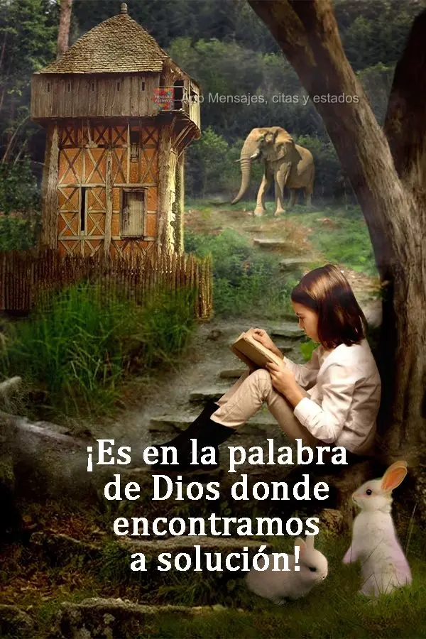 ¡Es en la palabra de Dios donde encontramos la solución!