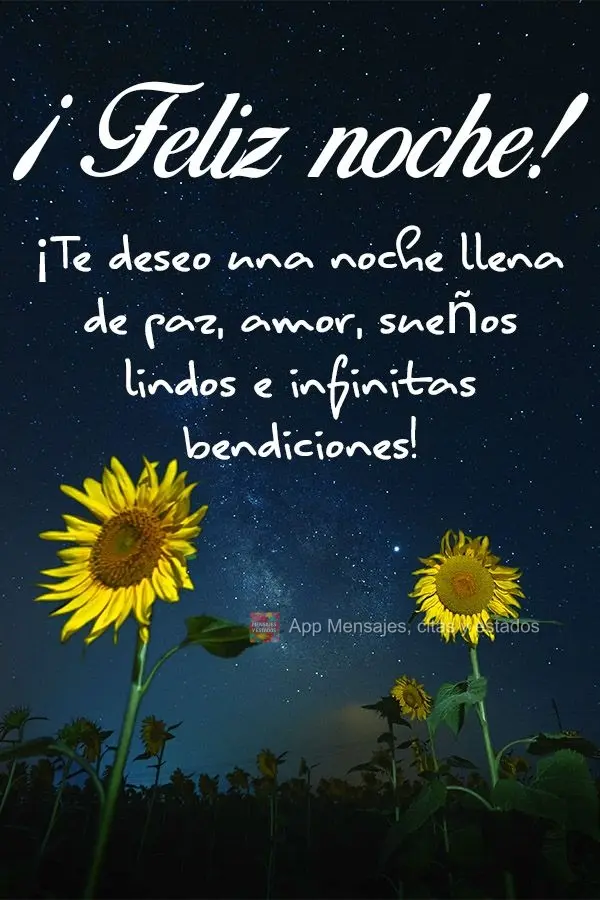 Desejo uma noite de paz, amor, lindos sonhos e infinitas bênçãos! Boa noite! 