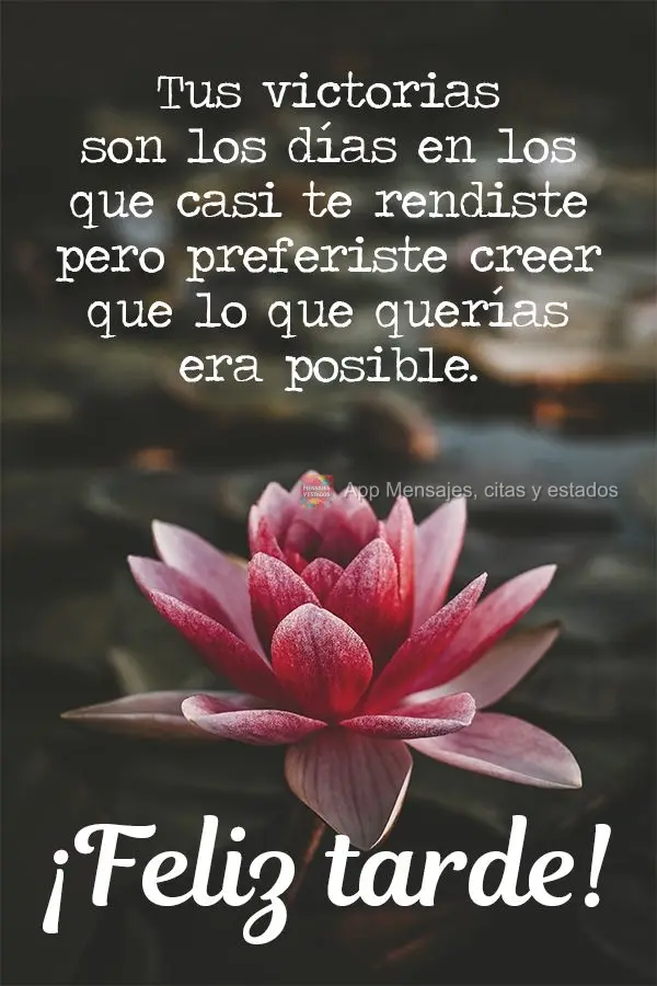 Suas vitórias são os dias em que quase desistiu, mas preferiu acreditar que é possível. Boa tarde! 