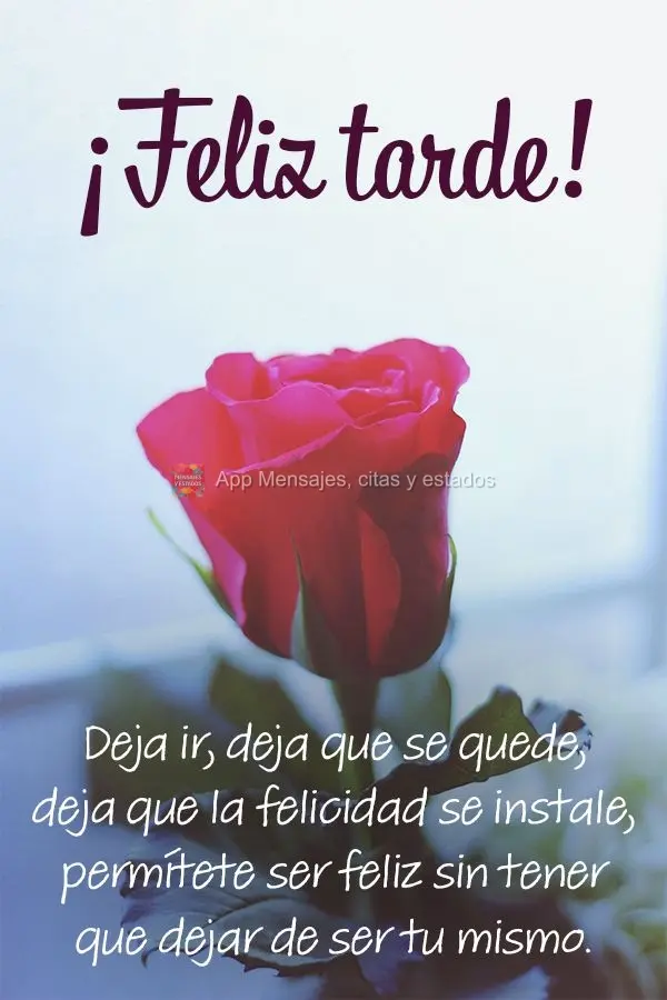 Deixa rolar, deixa ficar, deixa a felicidade se instalar, permita ser feliz sem precisar sair de si. Boa tarde! 