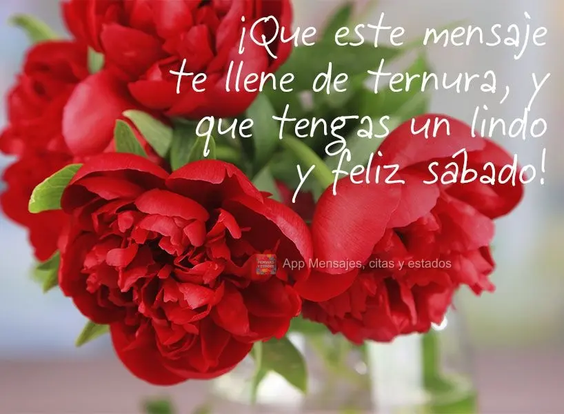 ¡Que este mensaje te llene de ternura, y que tengas un lindo y feliz sábado!