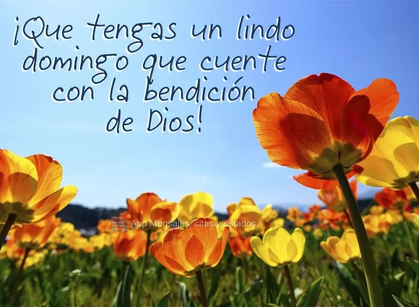 ¡Que tengas un lindo domingo que cuente con la bendición de Dios!
