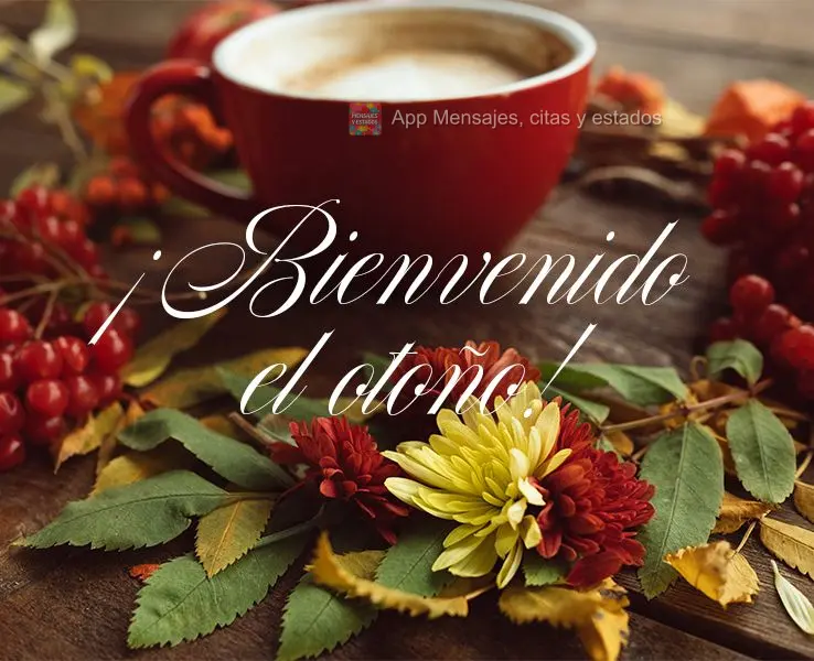 Seja Bem-vindo Outono!