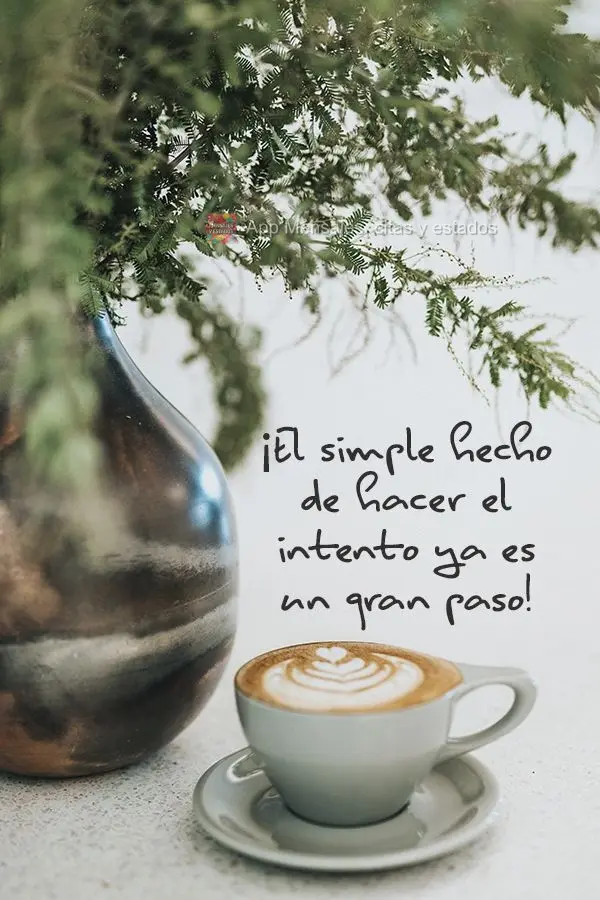 O simples fato de tentar, já é um grande passo!