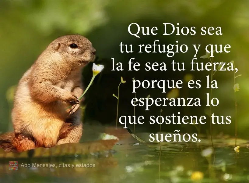 Que Dios sea tu refugio y que la fe sea tu fuerza, porque es la esperanza lo que sostiene tus sueños.