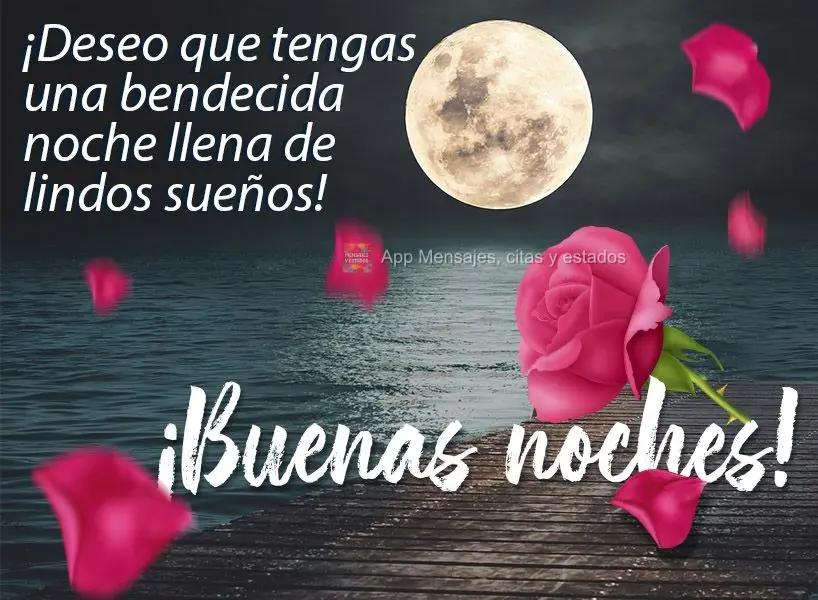 ¡Deseo que tengas una bendecida noche llena de lindos sueños! ¡Buenas noches!