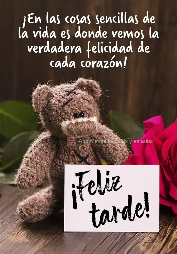 É na simplicidade da vida que vemos a verdadeira face da felicidade em cada coração! Boa tarde! 