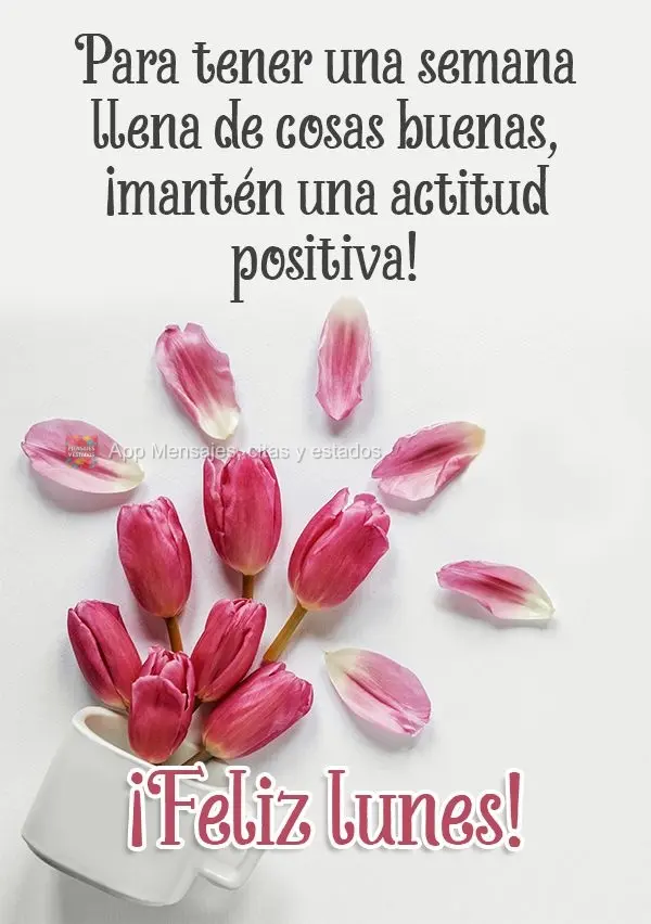 Para tener una semana llena de cosas buenas, ¡mantén una actitud positiva! ¡Feliz lunes!