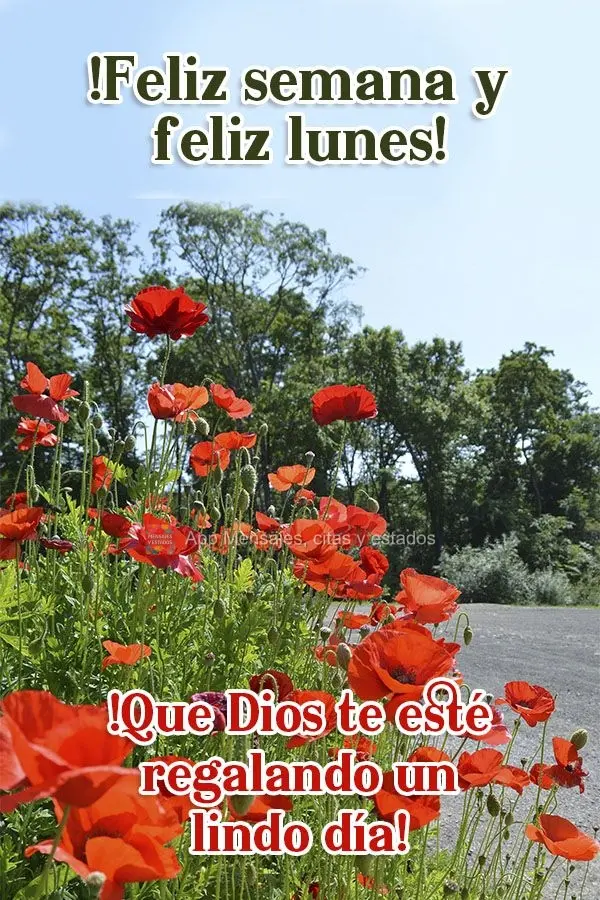 ¡Feliz semana y feliz lunes! ¡Que Dios te esté regalando un lindo día!